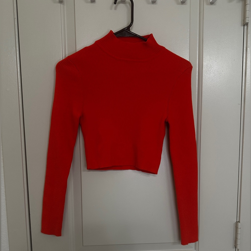 H&M long sleeve crop top turtleneck